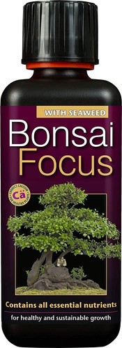 Growth technology bonsai - technology, focus