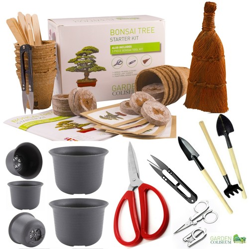 Bonsai tree kit grow - grow, 5