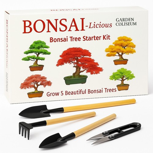 Bonsai tree kit - bonsai, of